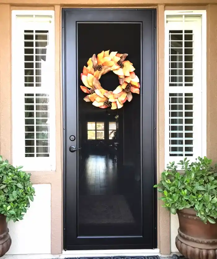 Viewguard door with dark bronze anodized finish